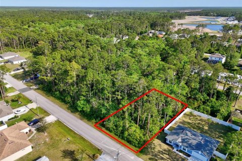 Land in Palm Coast, Florida № 1658354 - photo 2