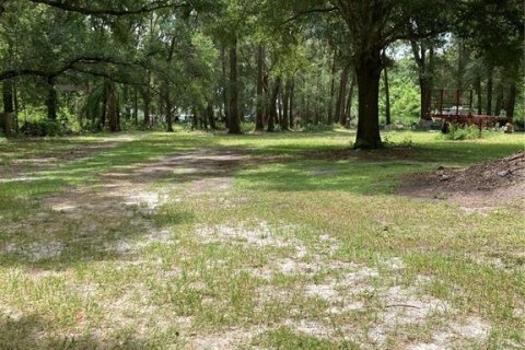 Land in Mount Dora, Florida № 2239557
