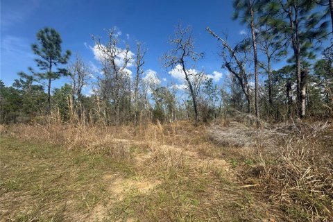 Terrain à vendre à Williston, Floride № 2228718 - photo 3