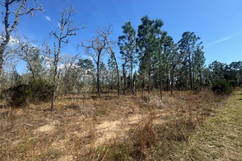 Terrain à vendre à Williston, Floride № 2228718 - photo 4