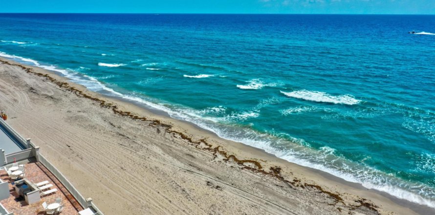 Condo in Highland Beach, Florida, 2 bedrooms  № 1151859