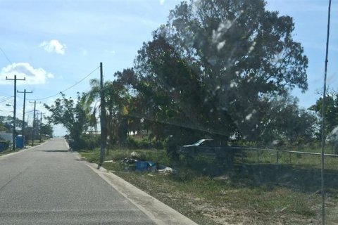 Land in Sebring, Florida № 2158731 - photo 5
