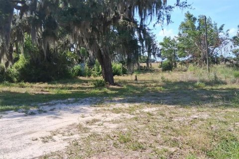 Land in Sebring, Florida № 2158731 - photo 3