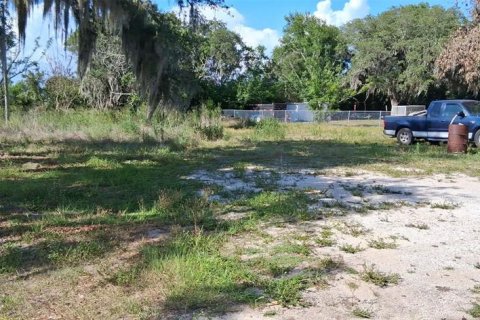 Land in Sebring, Florida № 2158731 - photo 6