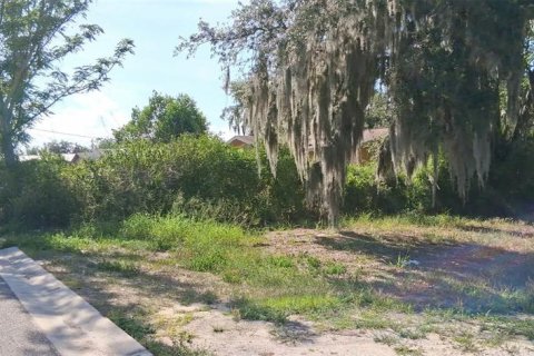 Land in Sebring, Florida № 2158731 - photo 4