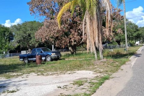 Land in Sebring, Florida № 2158731 - photo 2