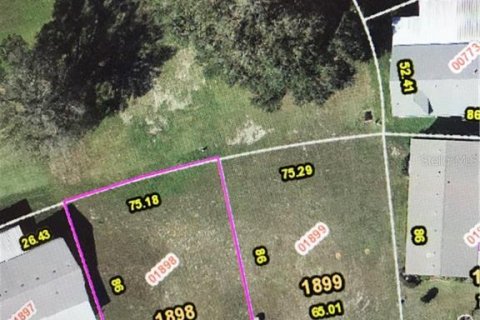 Land in Zellwood, Florida № 2162974