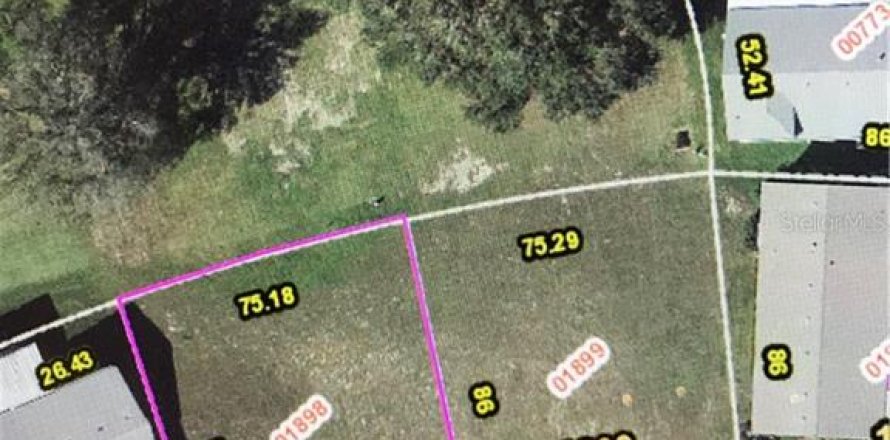 Land in Zellwood, Florida № 2162974