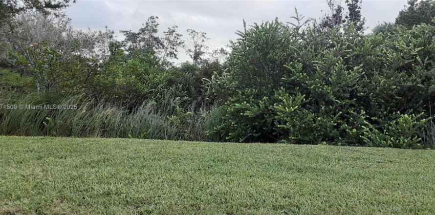 Land in Okeechobee, Florida № 1874561