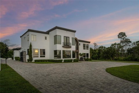 Villa ou maison à vendre à DeLand, Floride: 4 chambres, 477.89 m2 № 2229939 - photo 2