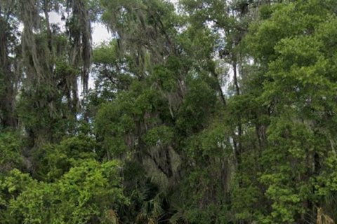 Land in DeLand, Florida № 2316878