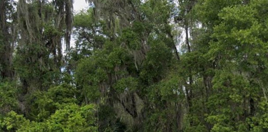 Land in DeLand, Florida № 2316878