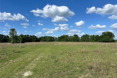 Land in Fort White, Florida № 1630408 - photo 13