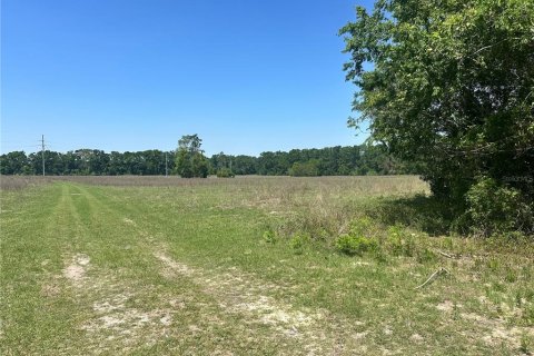 Land in Fort White, Florida № 1630408 - photo 15