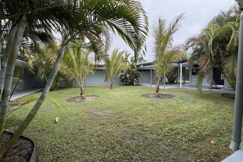 Immobilier commercial à louer à Clearwater, Floride: 315.87 m2 № 2195155 - photo 2