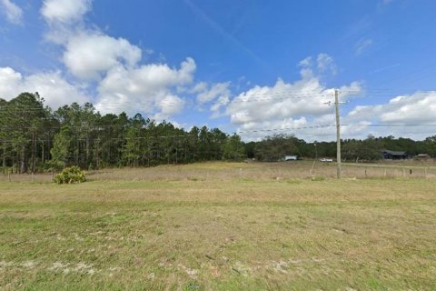 Land in Polk City, Florida № 2162205 - photo 2