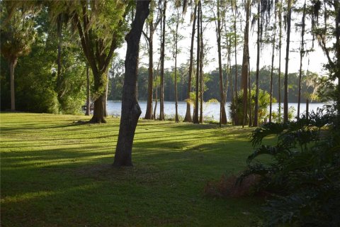 Villa ou maison à Odessa, Floride 4 chambres, 403.38 m2 № 2206063