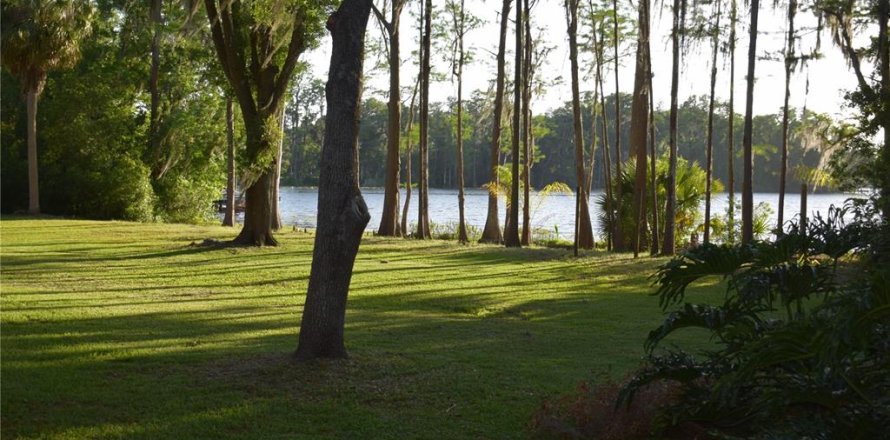 House in Odessa, Florida 4 bedrooms, 403.38 sq.m. № 2206063