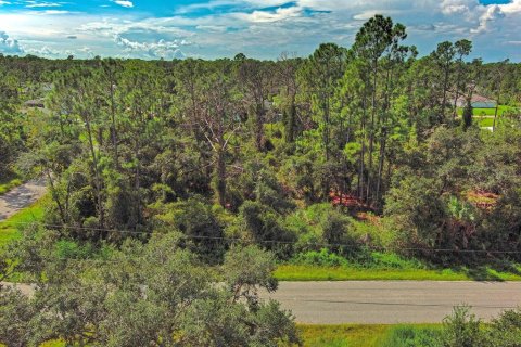 Land in North Port, Florida № 2164315