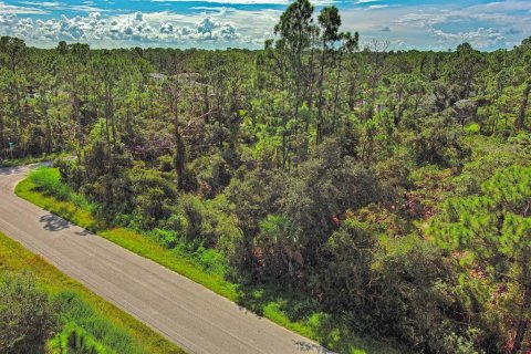 Land in North Port, Florida № 2164315 - photo 3