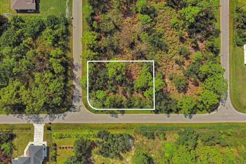 Land in North Port, Florida № 2164315 - photo 10