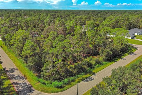 Land in North Port, Florida № 2164315 - photo 8