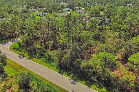 Land in North Port, Florida № 2164315 - photo 4
