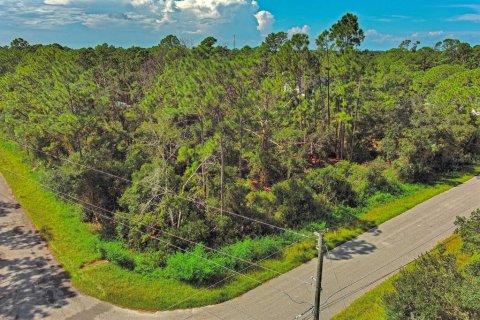 Land in North Port, Florida № 2164315 - photo 2