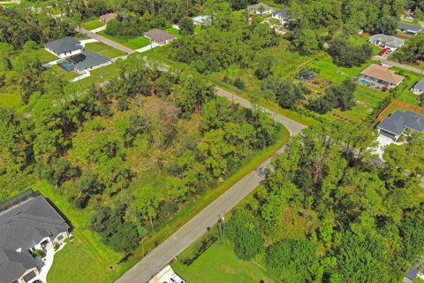 Land in North Port, Florida № 2164315 - photo 11