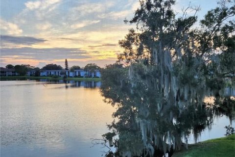 Condo à Oldsmar, Floride, 1 chambre  № 2373143