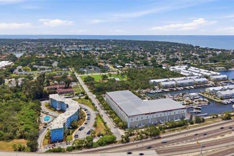 Copropriété à vendre à Saint Petersburg, Floride: 2 chambres, 82.4 m2 № 2203004 - photo 26