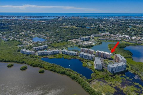 Copropriété à vendre à Seminole, Floride: 3 chambres, 167.32 m2 № 2426984 - photo 4