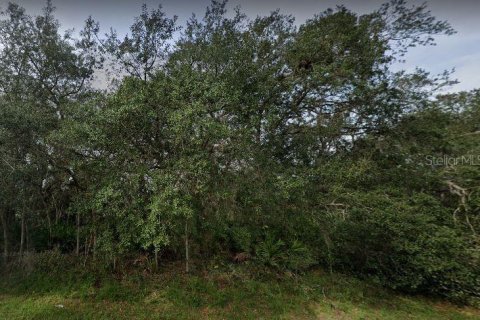 Land in Poinciana, Florida № 2159073 - photo 2