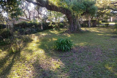 Land in New Port Richey, Florida № 2161558 - photo 2