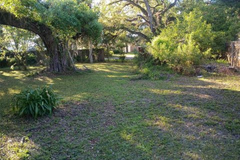 Land in New Port Richey, Florida № 2161558