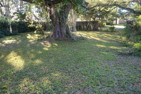 Land in New Port Richey, Florida № 2161558 - photo 4