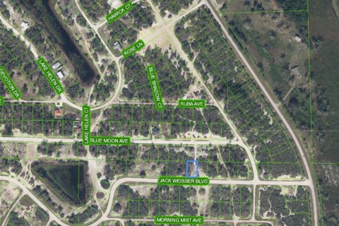 Land in Lake Placid, Florida № 2213679