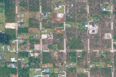 Land in Lehigh Acres, Florida № 2394434 - photo 2
