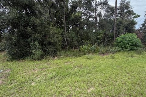 Land in Citrus Springs, Florida № 2209949 - photo 5
