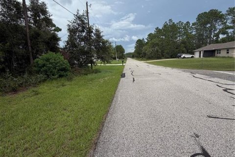 Land in Citrus Springs, Florida № 2209949 - photo 3