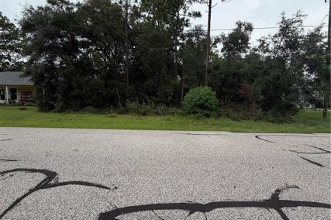 Land in Citrus Springs, Florida № 2209949 - photo 6