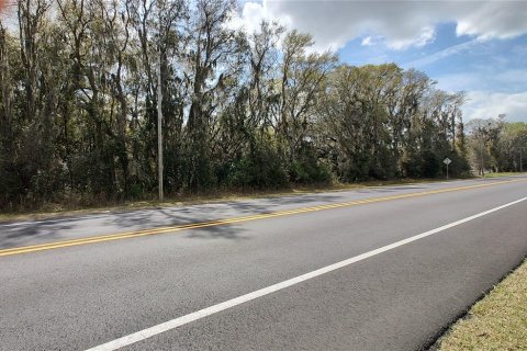 Terreno en venta en Ocala, Florida № 1538765 - foto 2