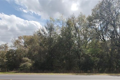 Terreno en venta en Ocala, Florida № 1538765 - foto 4