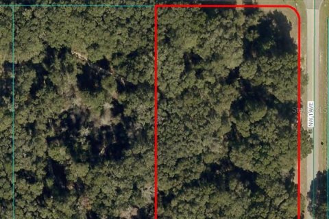 Terreno en venta en Ocala, Florida № 1538765 - foto 6