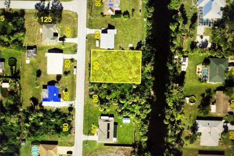 Land in Port Charlotte, Florida № 2162735 - photo 5