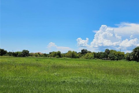 Terreno en venta en Ruskin, Florida № 1901206 - foto 1