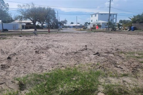 Land in Ruskin, Florida № 2166579 - photo 2