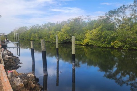 Land in Ruskin, Florida № 2166579 - photo 3