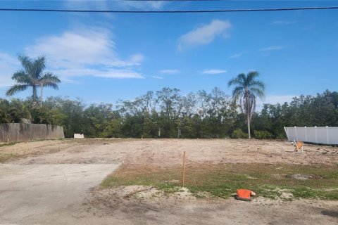 Land in Ruskin, Florida № 2166579