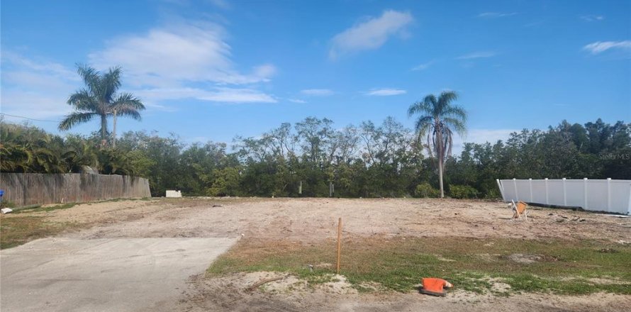 Land in Ruskin, Florida № 2166579